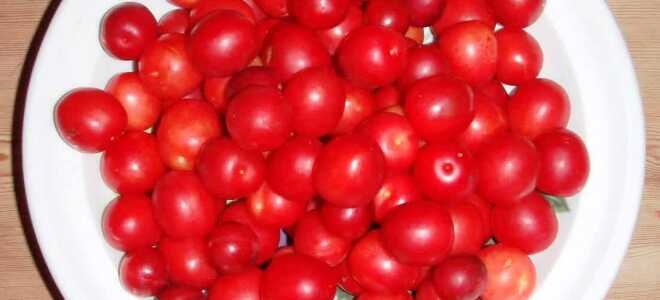 Чем и как отстирать вишню с одежды