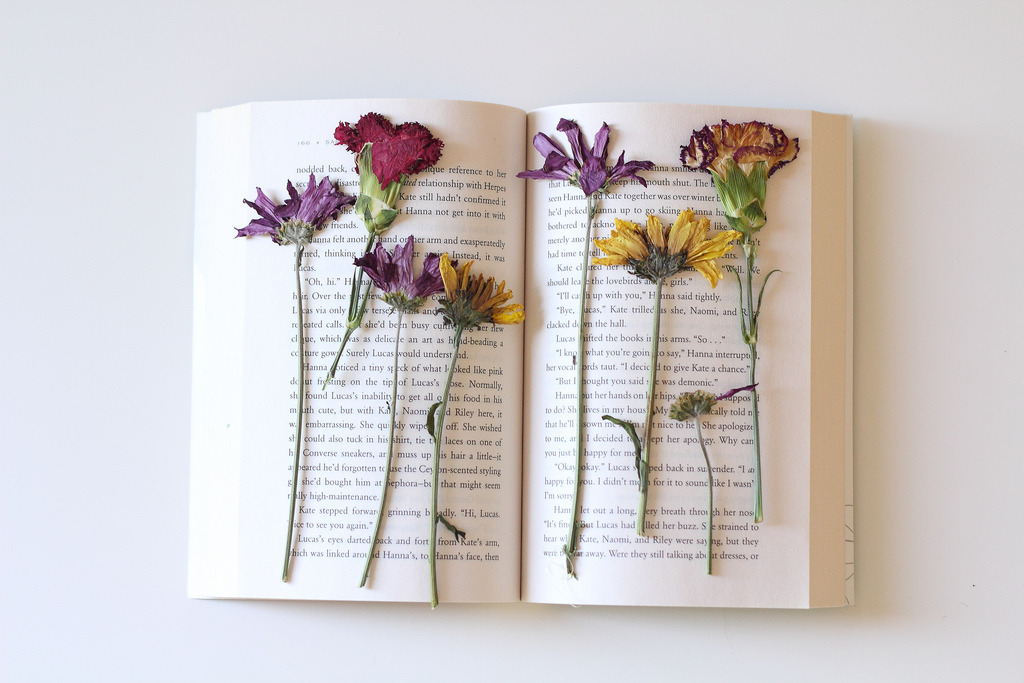 цветы в книге