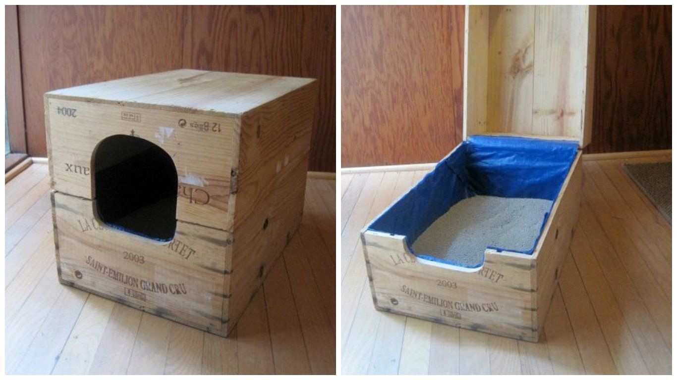 Коты очень