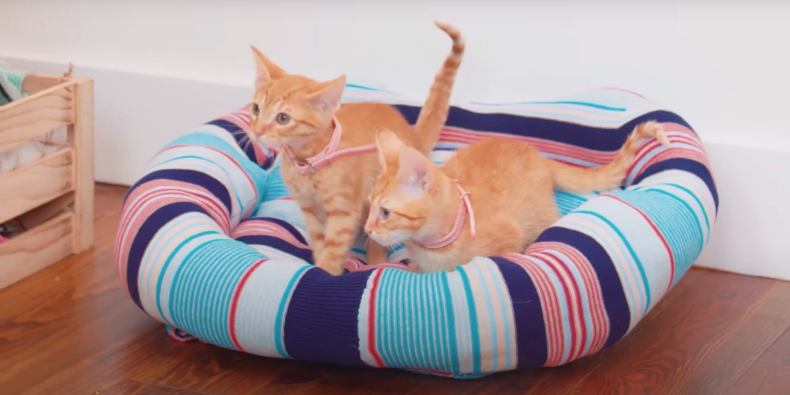 Лежанка для кота 