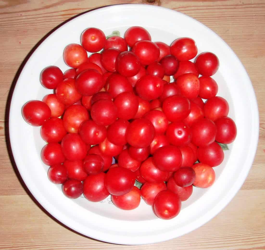 Вишня