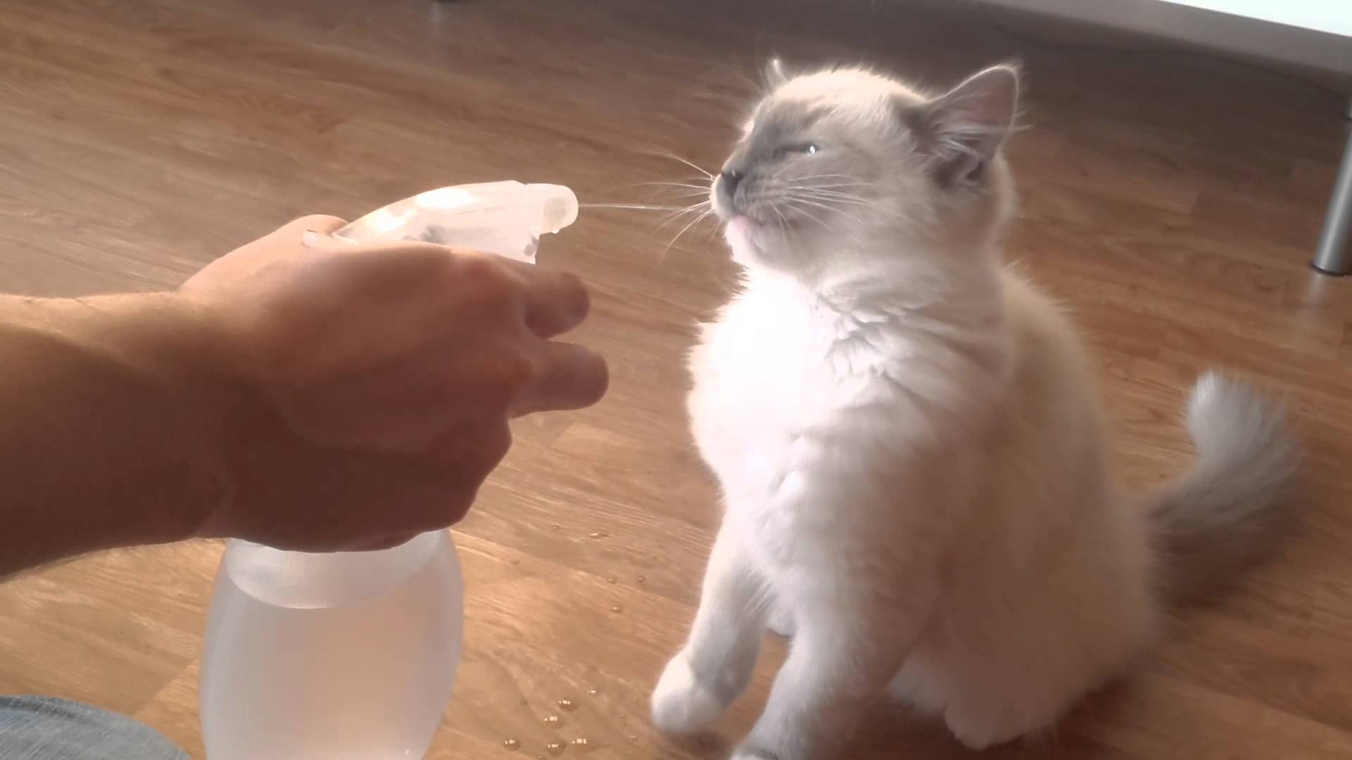 Вода 
