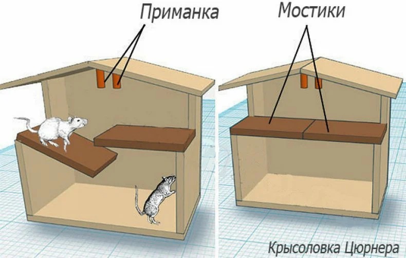 крысоловка Цюрнера