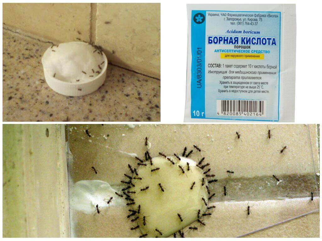 народные средства от насекомых в доме