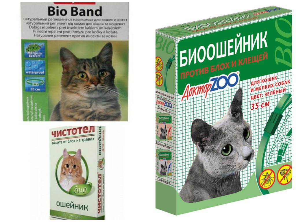 профилактика от блох