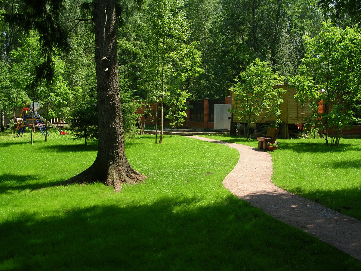 классы газонов
